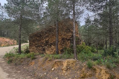Landejendom i Asco, Tarragona, Asco - € 12.500 | Ref: 959 Lasco - foto 7